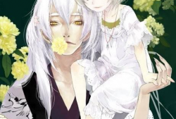 有哪些好看的动漫,盘点那些令人陶醉的精彩动漫佳作