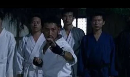 李小龙电视剧,武术宗师的风云岁月